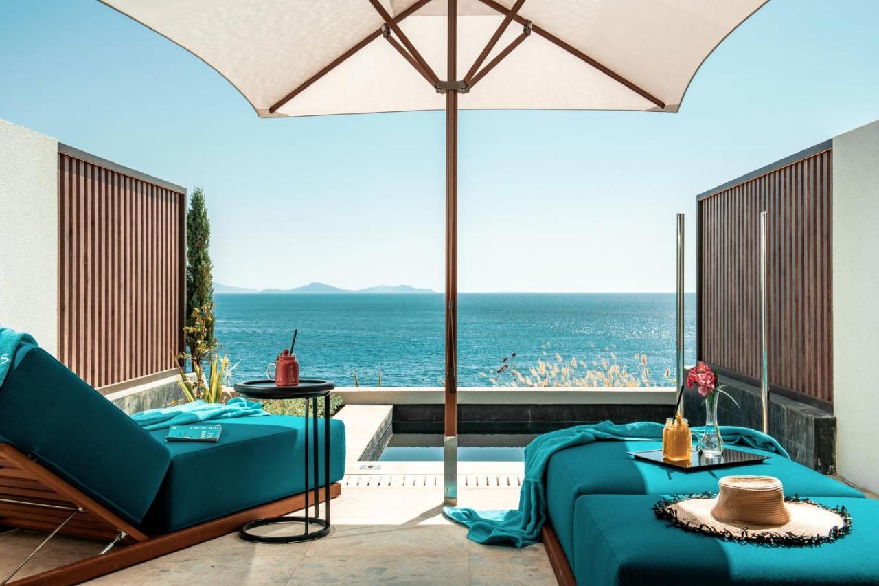 Superior Double Room with Sea View and Plunge Pool