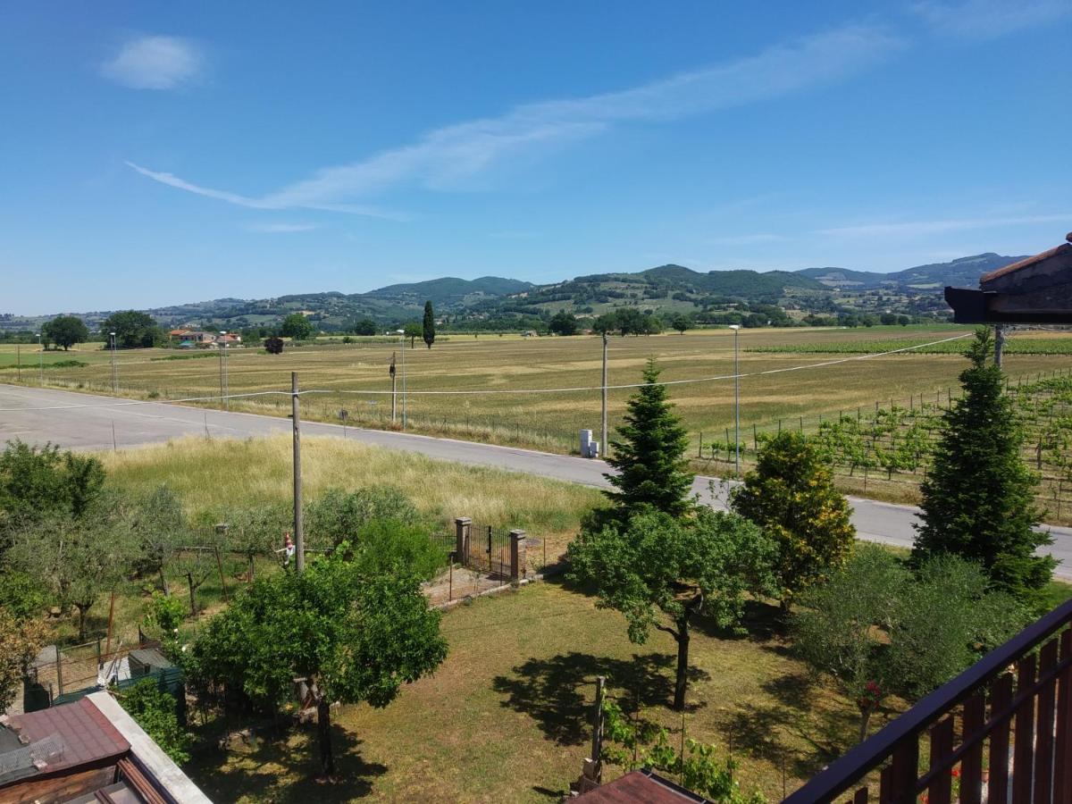 Appartamento con 1 Camera da Letto con Balcone e Vista Città