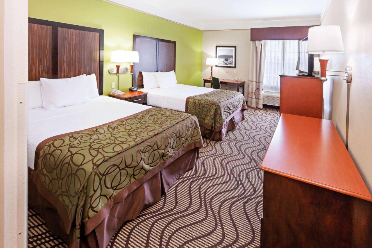 Double Room with Two Double Beds