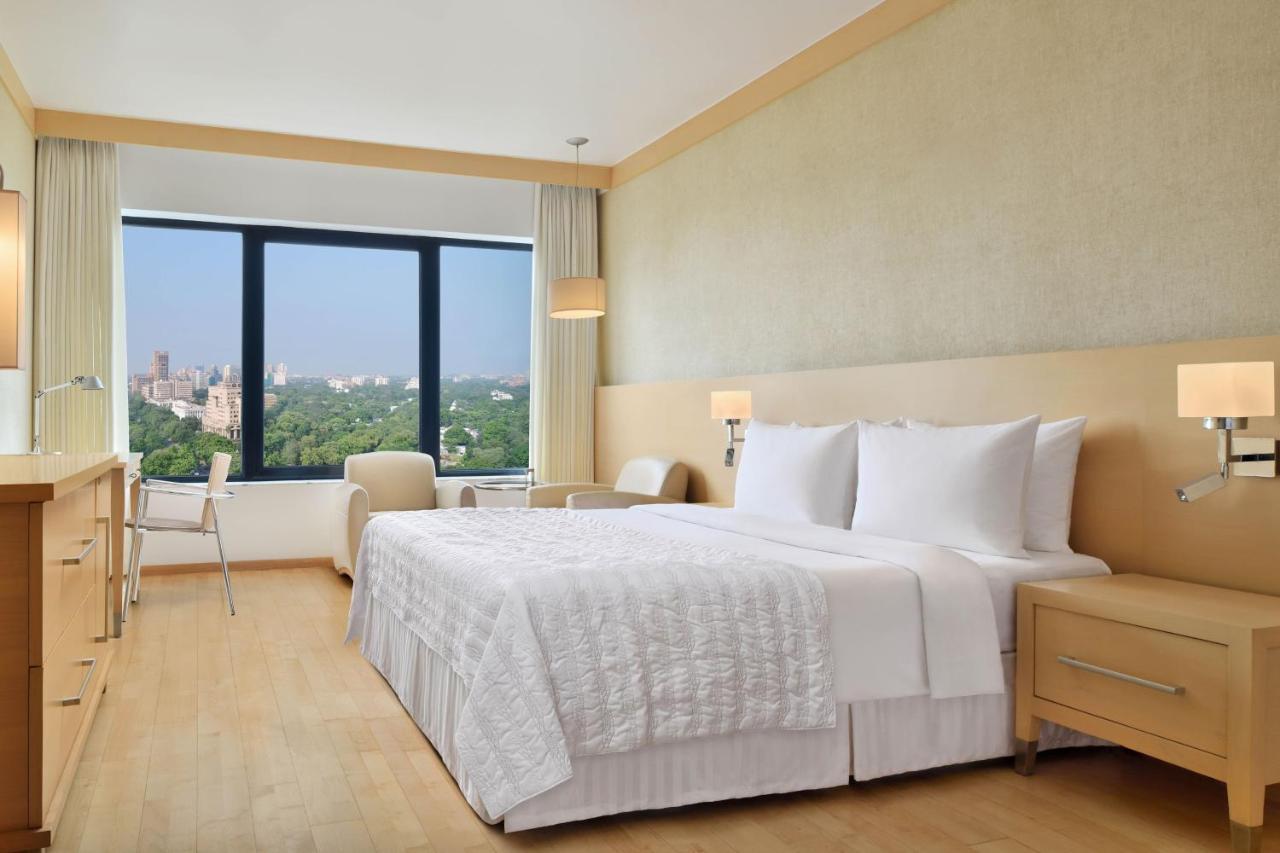 Executive Double or Twin Room,1676756296:JPEG