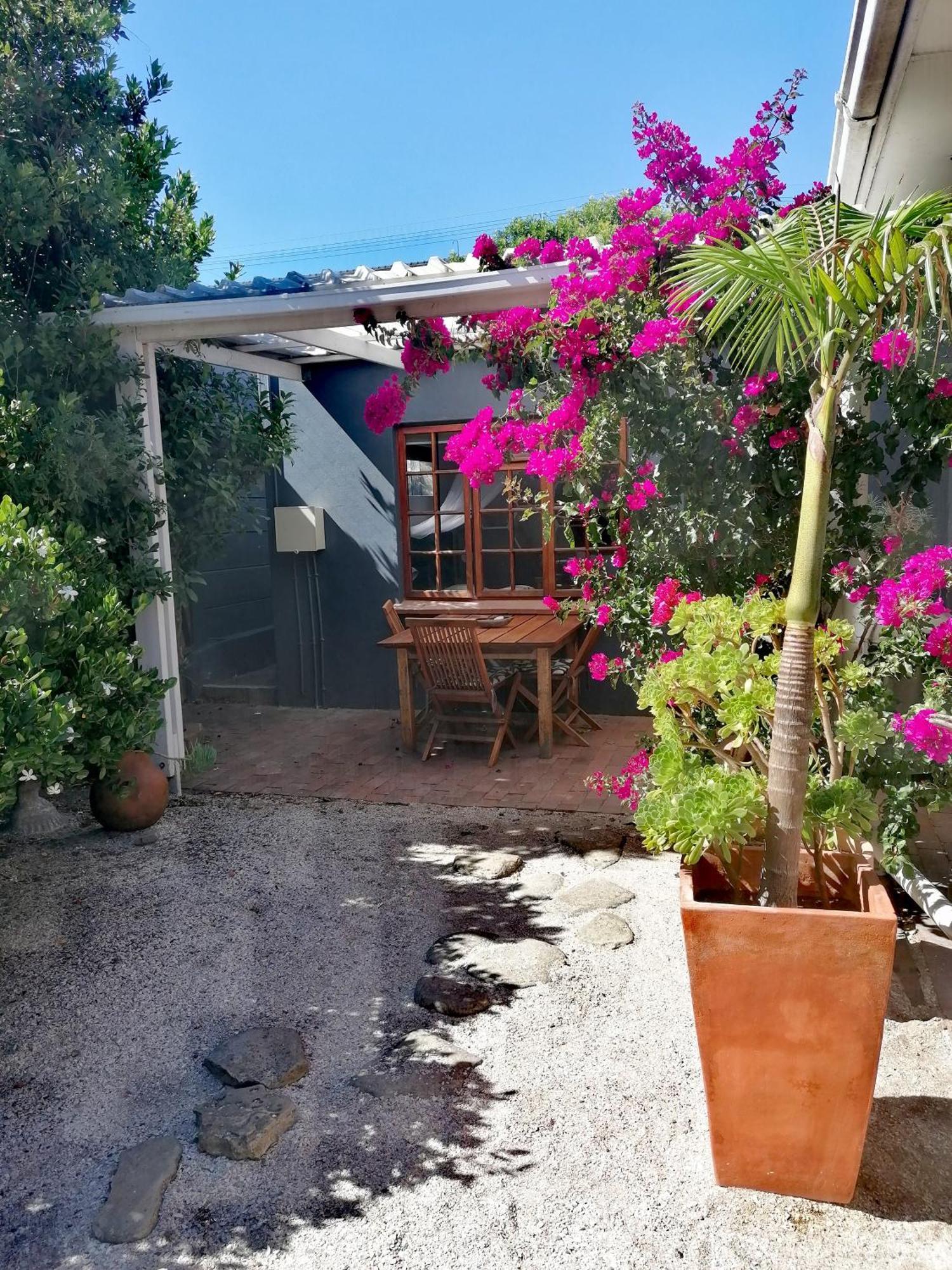 Studio with Garden View,1537137214:JPEG