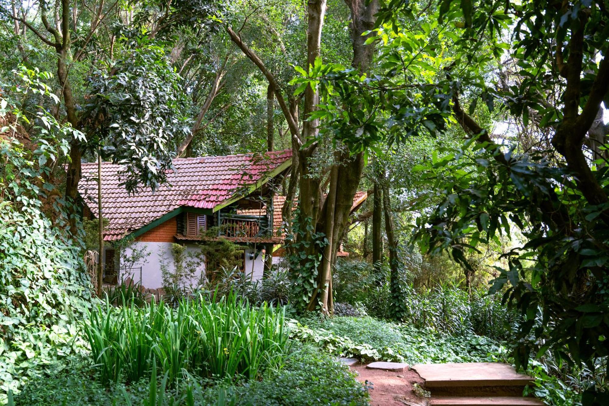 One-Bedroom Chalet,718722667:JPEG