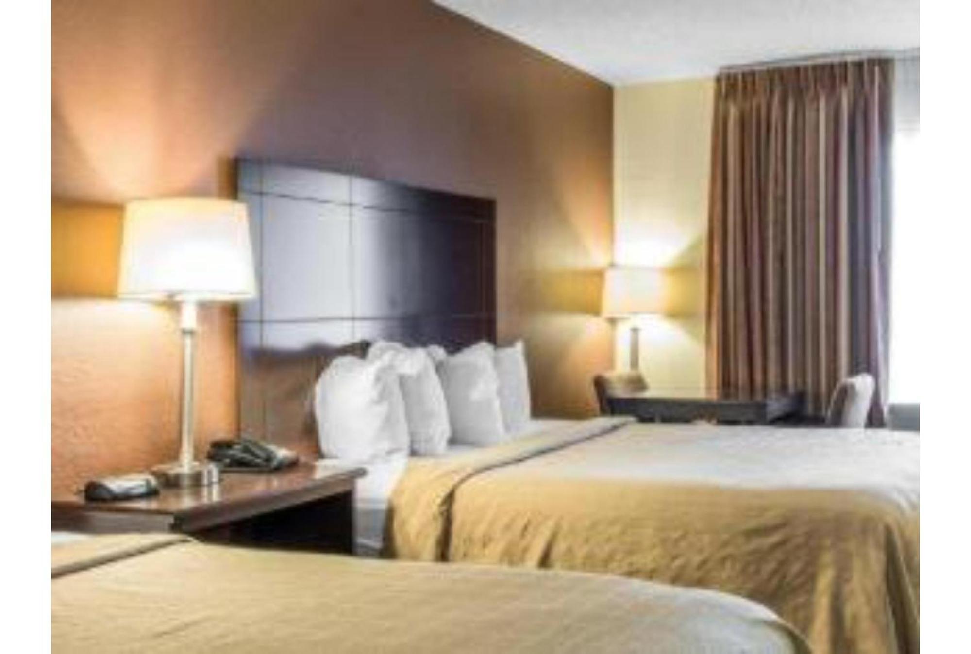 1 King Bed 