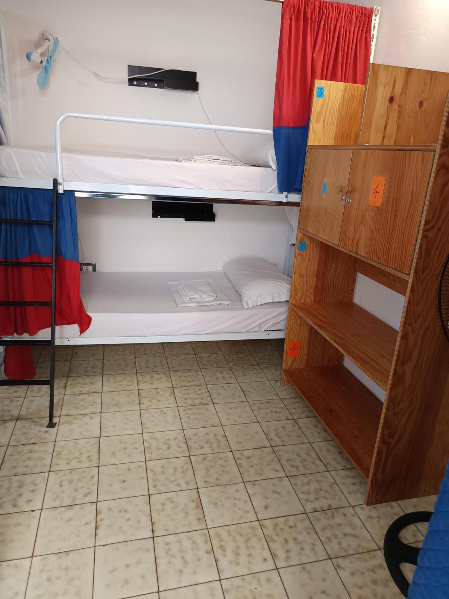 Single Bed 4-Bed Dormitory Room
