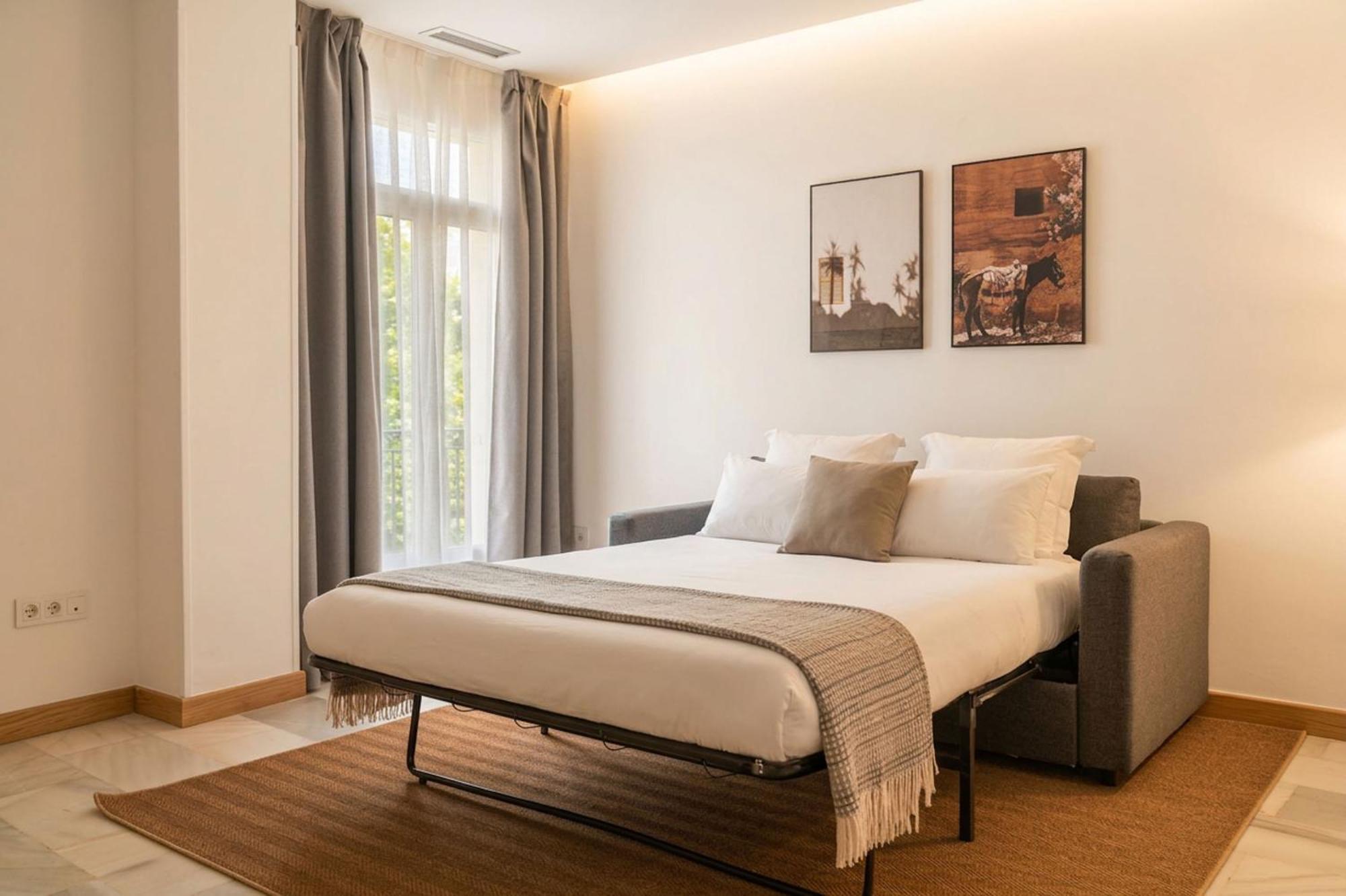 One-Bedroom Apartment with sofa bed