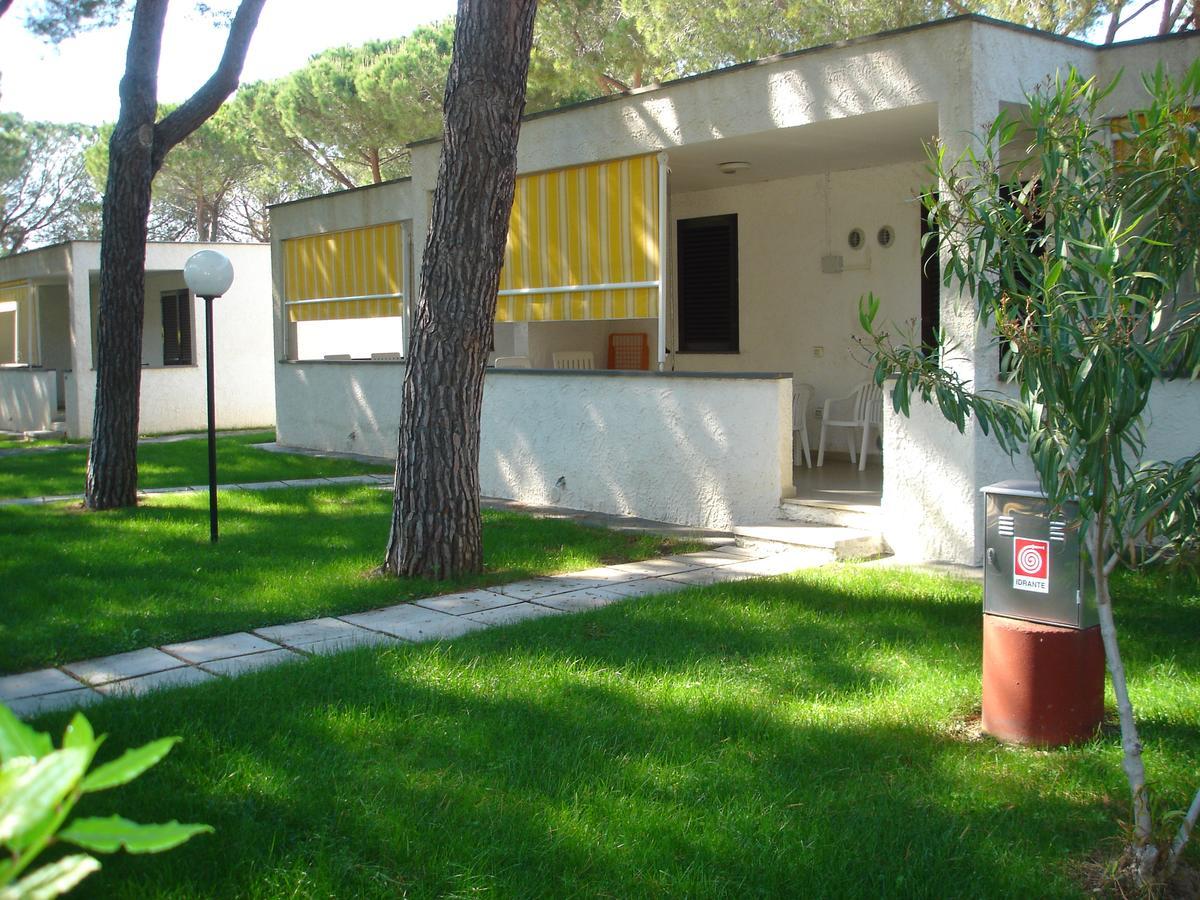 Apartment mit Gartenblick