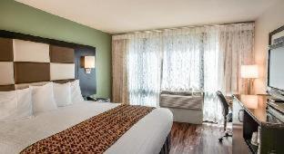 Standard King Room,693440070:JPEG