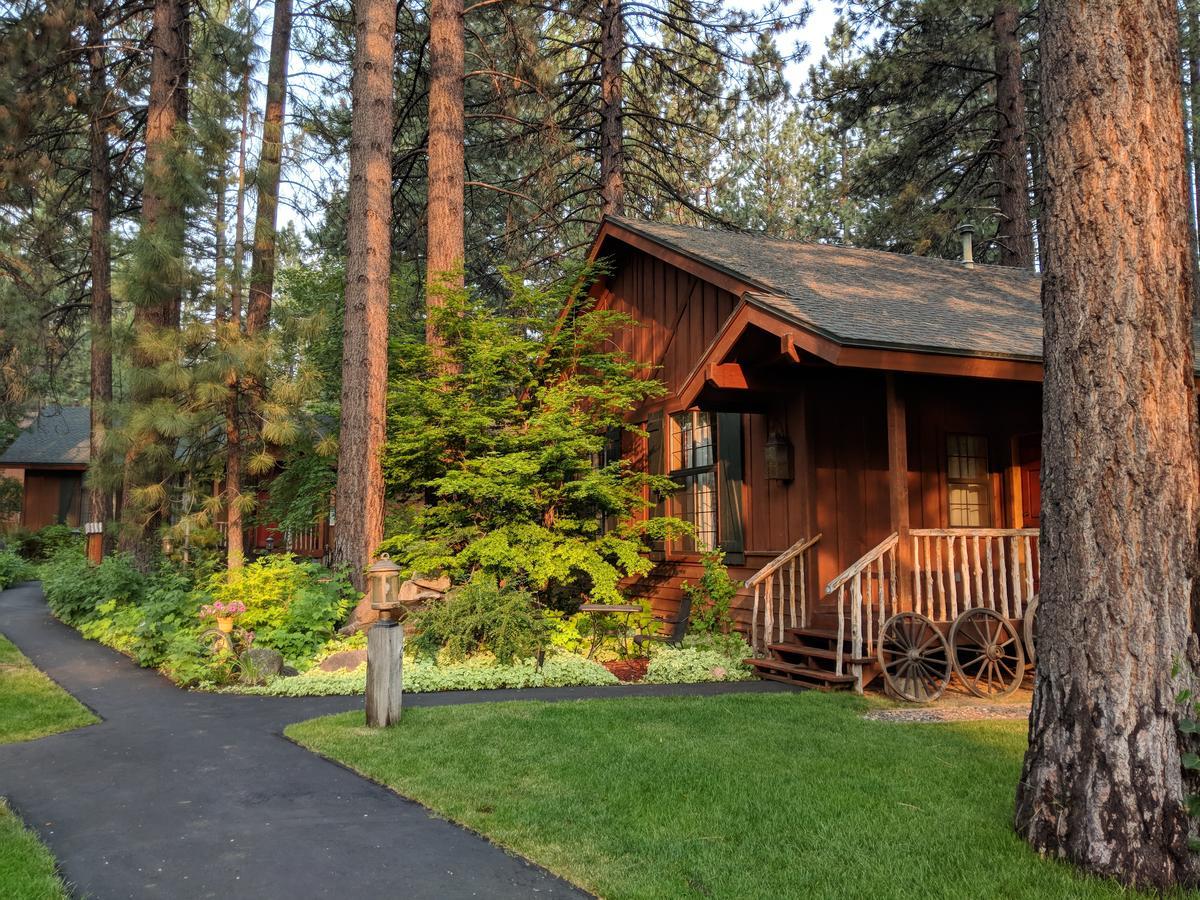 King Studio Cottage,775678774:JPEG