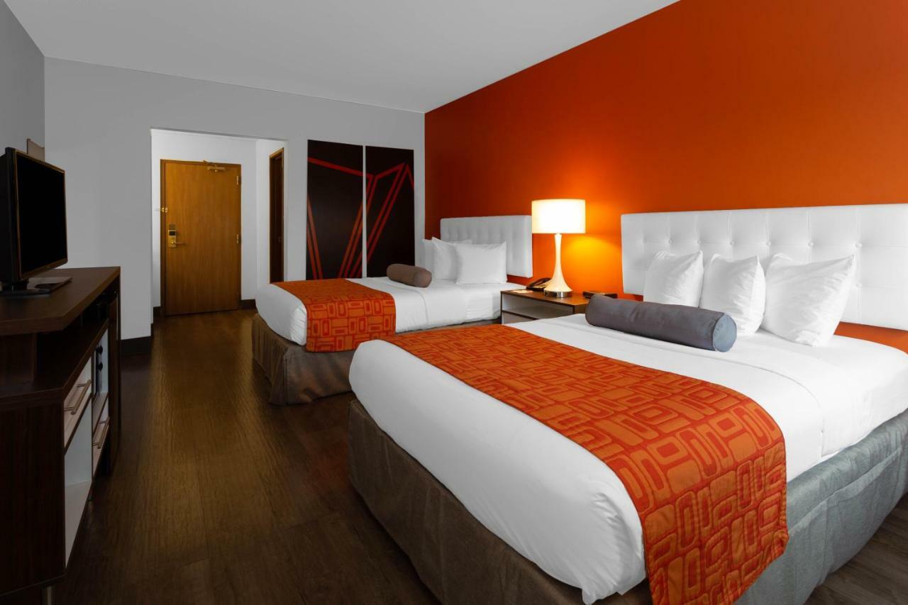 Double Room with Two Double Beds - Non-Smoking,812650845:JPEG