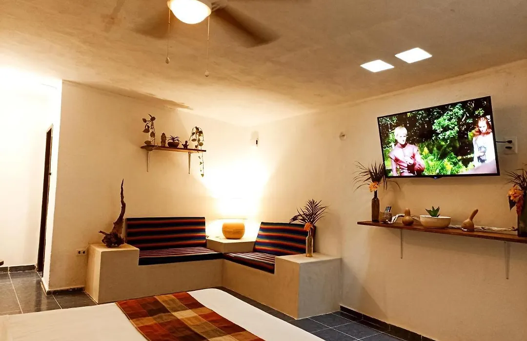 Casa De Los Pájaros - B&B-1