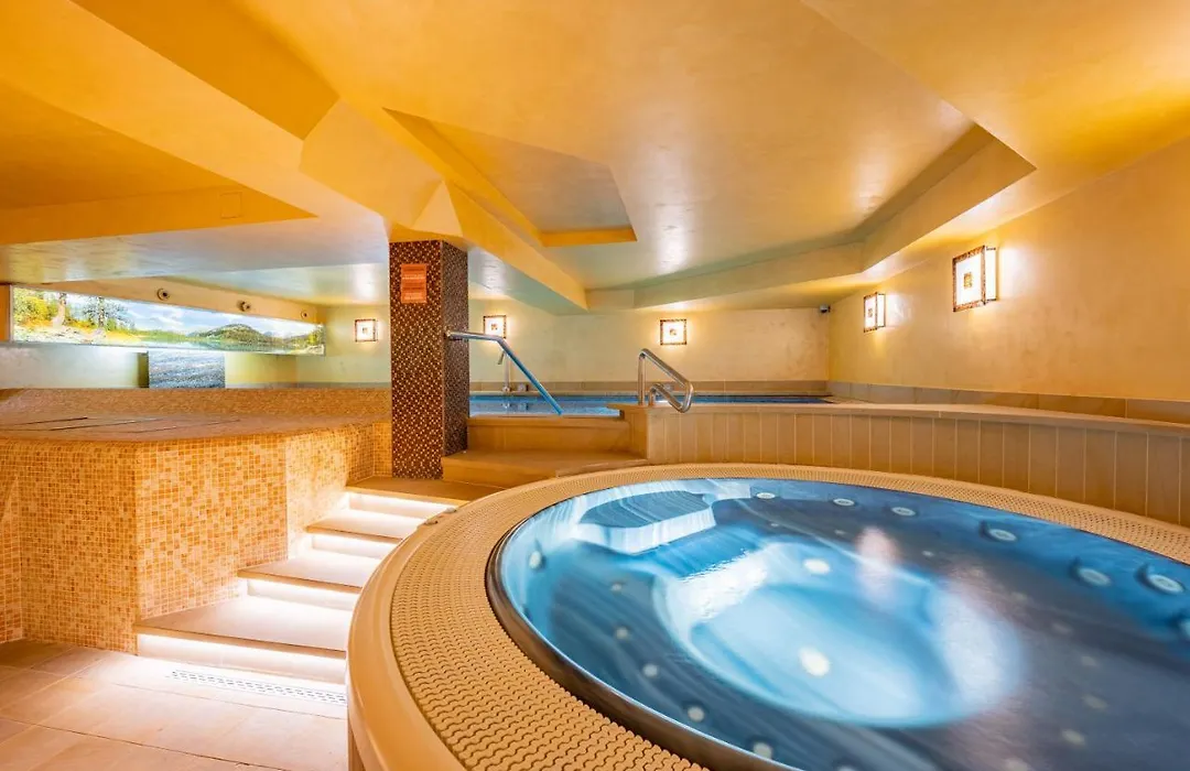 David Wellness Hotel-1