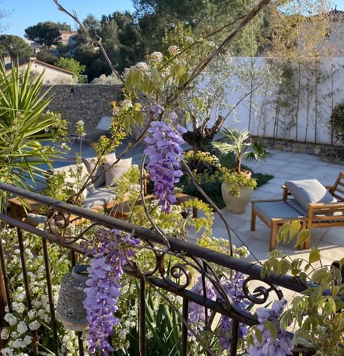 le pool house-1