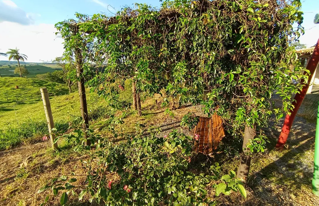 Pousada flores de ipê-1