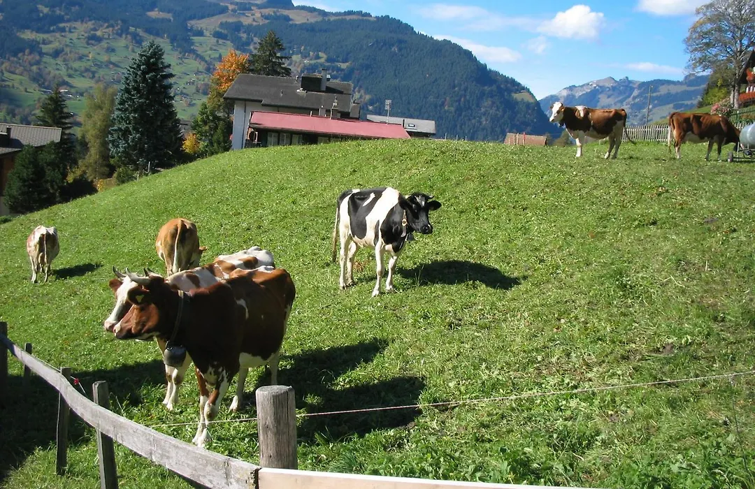 Alpenhof-1