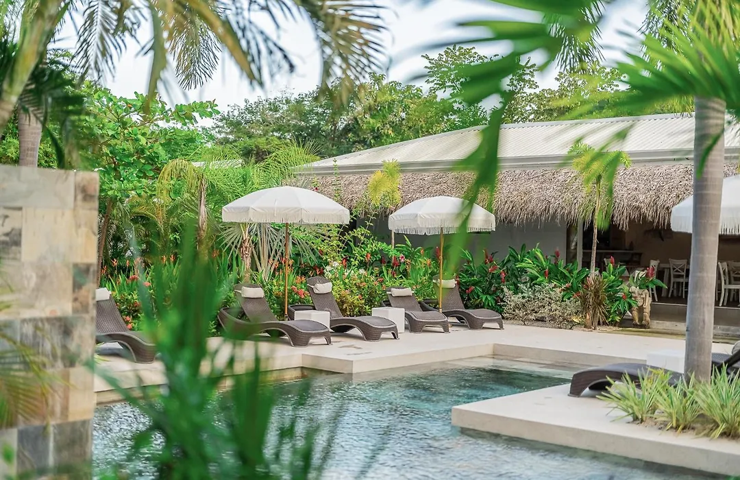 Les Voiles Blanches - Luxury Lodge&SPA-1