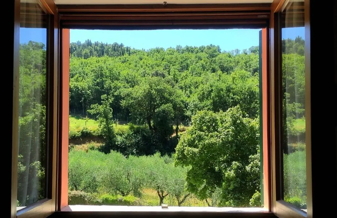 B&B I Martelli-1