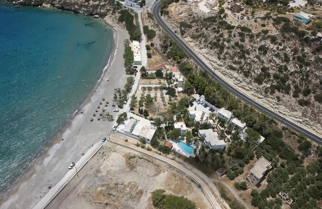 Avra Palm-1