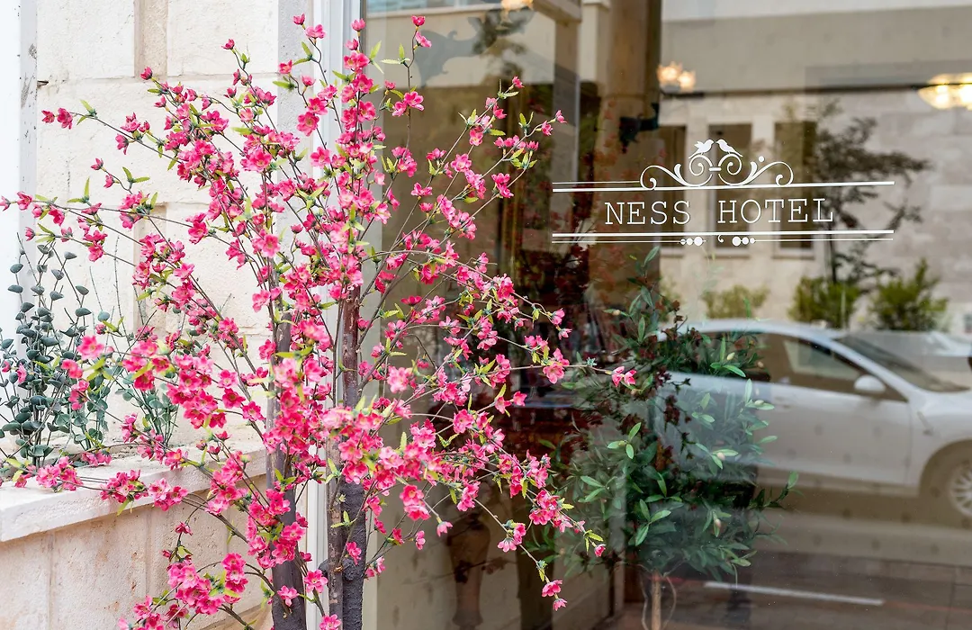 Ness Hotel-1