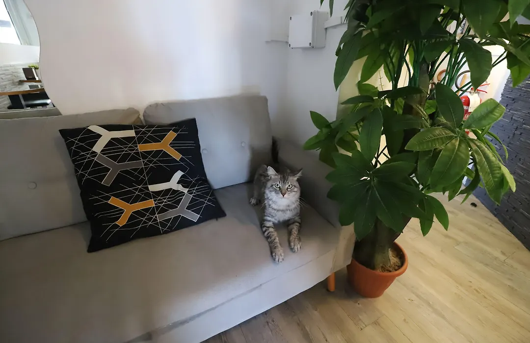 Guest House Pirelli Milano-1