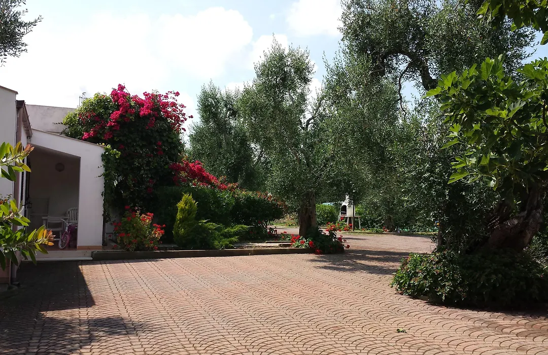 Residence Alba-1