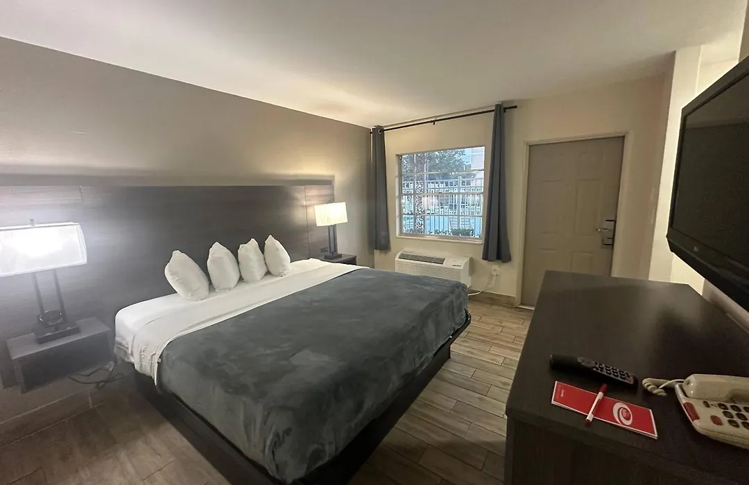Econo Lodge St Petersburg Central-1