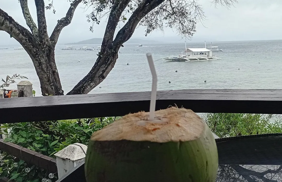Pescador View Beachfront And Extension By The Ocean Hostels & Restaurant Moalboal-1