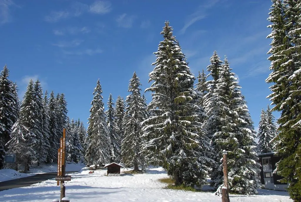 Hôtel Chalet Le Caribou-1