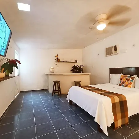 Casa De Los Pájaros - B&B-3