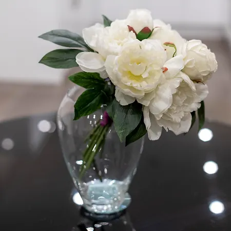 20 Hertford Street - Mayfair Apartments-3