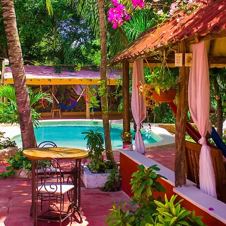 Casa De Los Pájaros - B&B-2