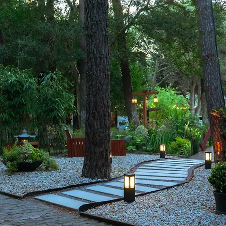 Mizu Hotel Boutique-2