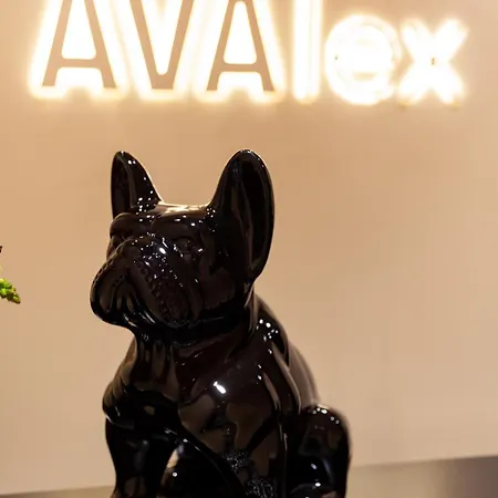 Hotel Avalex-2