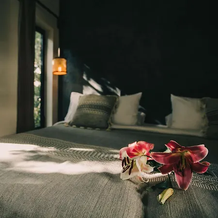 Yum Kaax Boutique Villa-2