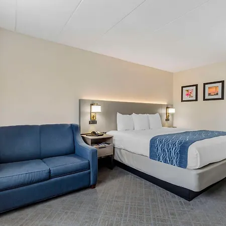 Comfort Inn Herndon-Reston-3