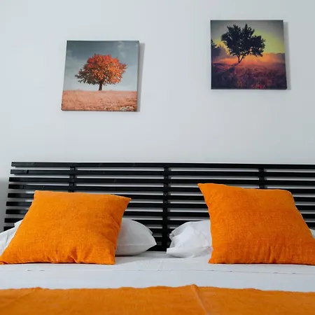 B&B Ortensia-2