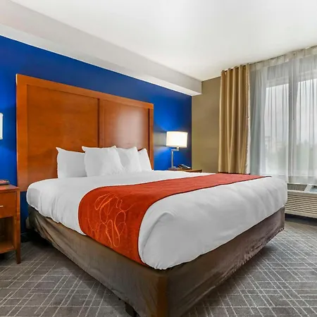 Comfort Suites Redding - Shasta Lake-2