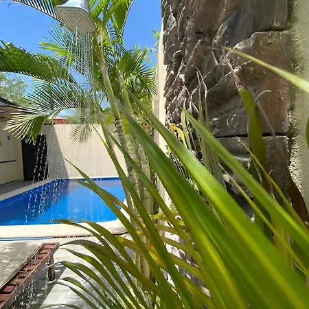 Basic Tulum-3