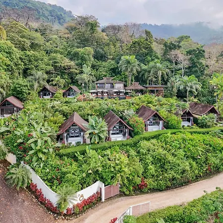 Oxygen Jungle Villas & Spa (Adults Only)-3