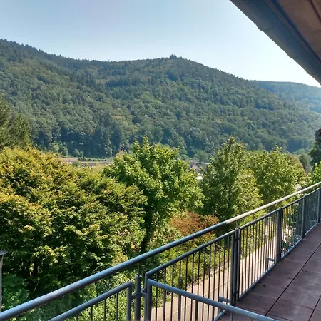 Hotel zum Neckartal Heidelberg-3