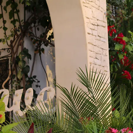 Livetulum-2