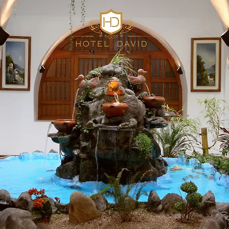 Hotel David-2