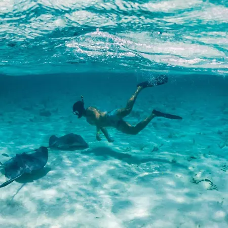 Reef Haven Belize-3