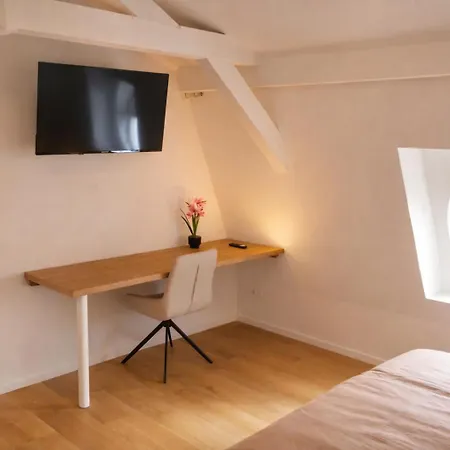 Mulhouse City Loft-3