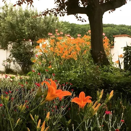 B&B Cm Ranch-3