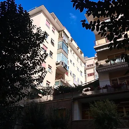Cicicoco-3