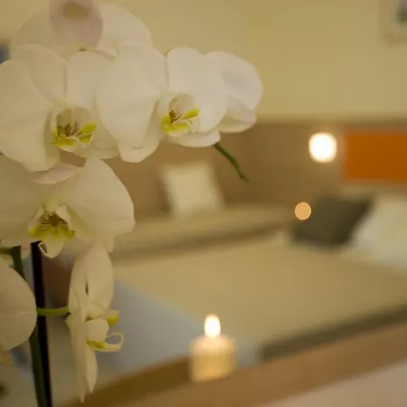 Hotel Consuelo-3