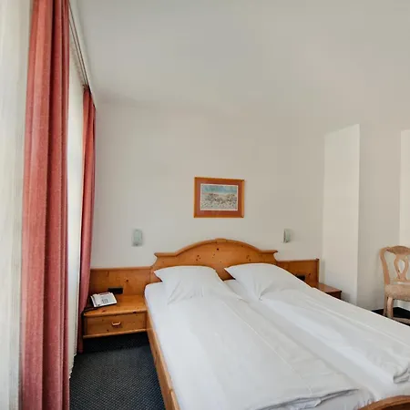 Hotel Alt-Ringlein-2