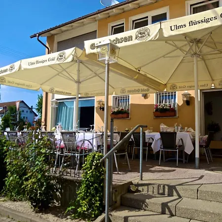 La Stella-2