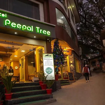 Hotel Peepal Tree-3