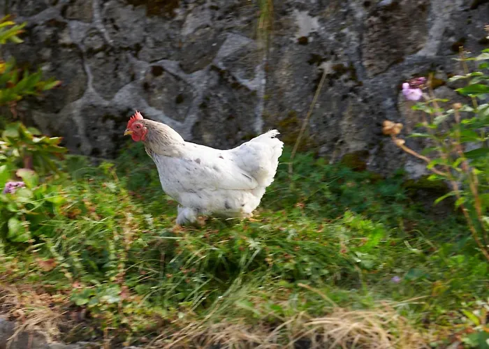 The Conscious Farmer Bed And Breakfast Sauerland